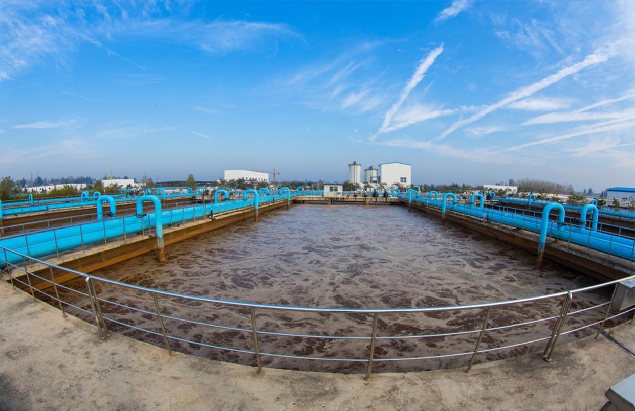 BAHR EL BAQAR WASTE WATER TREATMENT PLANT PROJECT